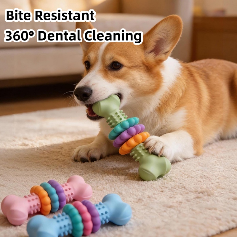 Teeth Cleaning Dog Chew Bone - 耐久性のあるTPR製犬用噛むおもちゃ、骨型、噛みつきに強い歯磨きおもちゃ、子犬の歯が生える時期のおもちゃ、小型犬・中型犬用、退屈解消