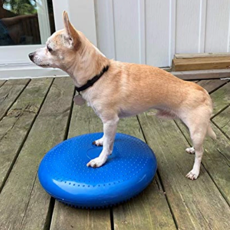 Flying Disc Dog Training Toy - バランスの取れた空飛ぶ円盤,ペット,犬のトレーニング,フィットネス,スポーツ,筋肉の緊張,敏捷性のおもちゃ,ペットのリハビリテーション製品