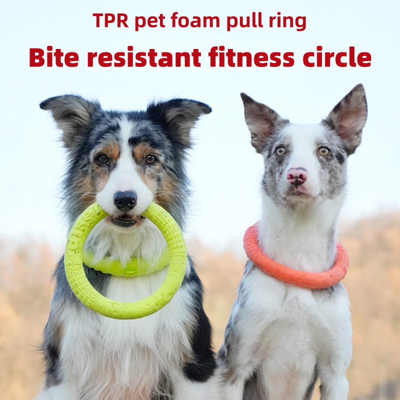 Flying Disc Dog Training Toy - 噛みつきにくいEVA素材の犬用フライヤー、防水フローティングフライングディスク、インタラクティブなタグリング、多機能ドッグトレーニングフィットネストイ