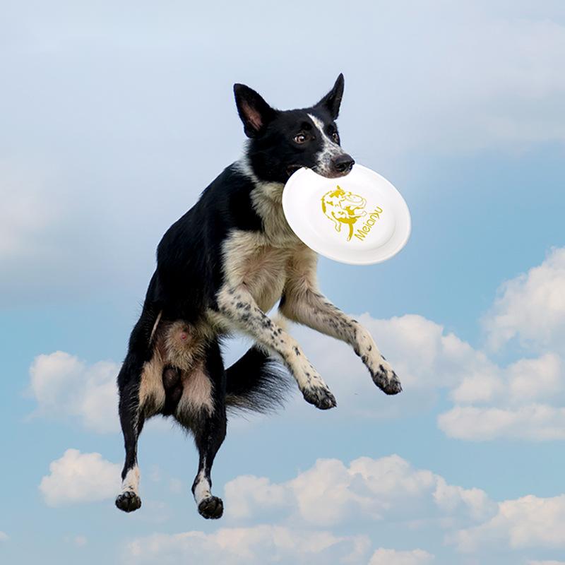 Flying Disc Dog Training Toy - Ouzey-犬用の耐衝撃性飛行ディスクのおもちゃ,インタラクティブ,屋外,子犬のトレーニング,ペットのアクセサリー